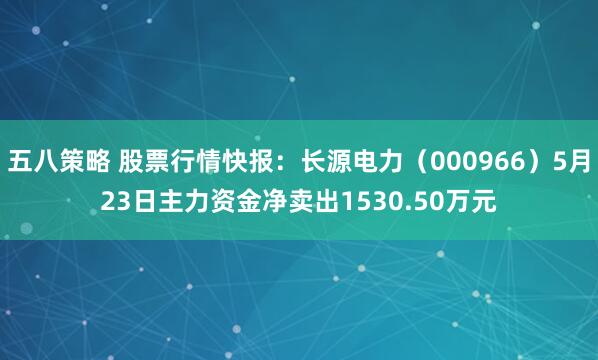 五八策略 股票行情快报：长源电力（000966）5月23日主力资金净卖出1530.50万元
