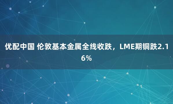 优配中国 伦敦基本金属全线收跌，LME期铜跌2.16%