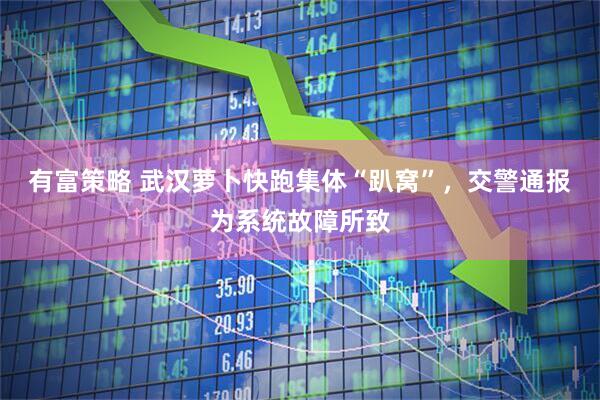 有富策略 武汉萝卜快跑集体“趴窝”，交警通报为系统故障所致